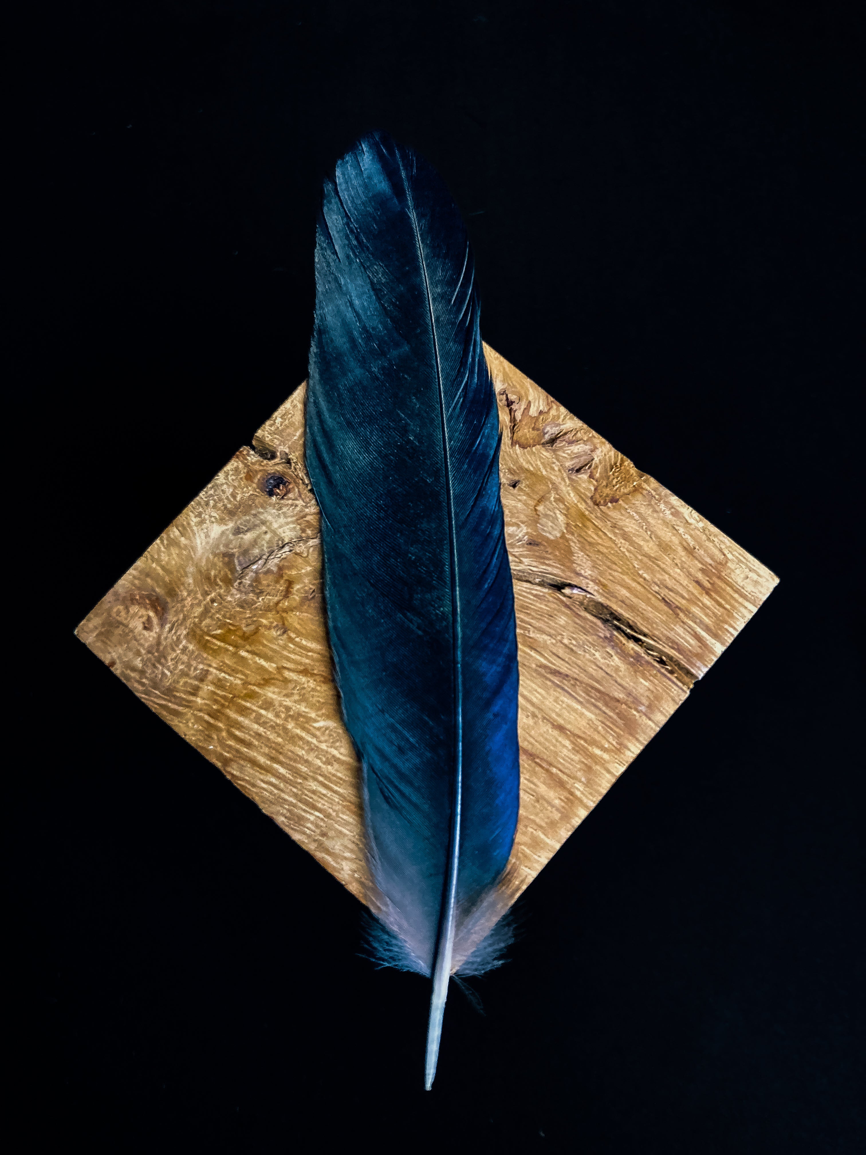 Lot De 15 Plumes De Corbeau Noires 30-35 Cm - Plumes Naturelles Pour Loisirs Créatifs, Costumes & Décoration