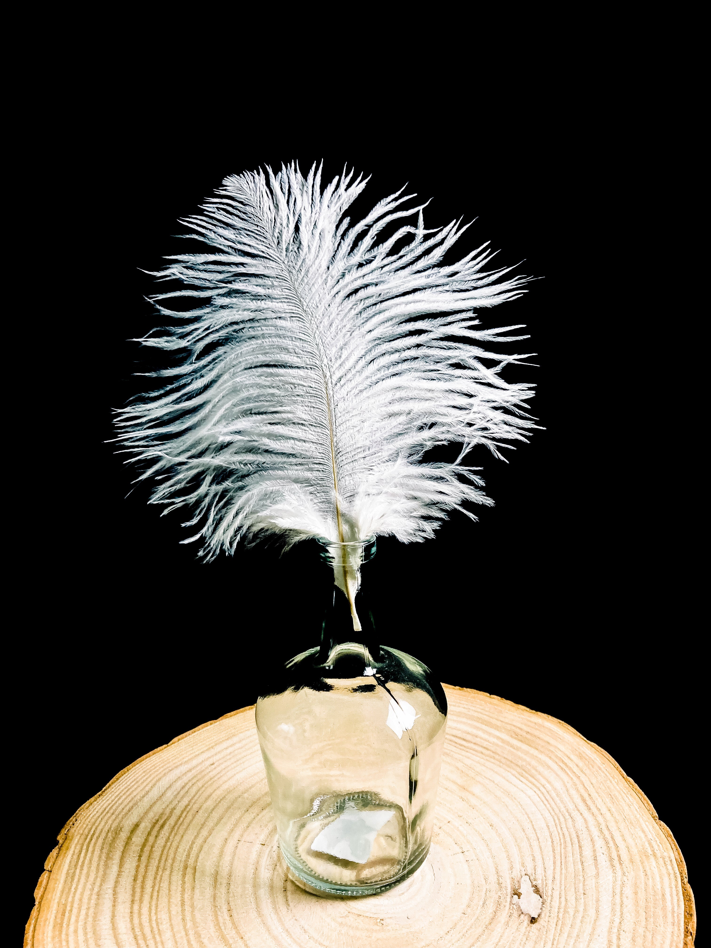 Plumes d'autruches blanches 20-25 cm - Plumes Naturelles