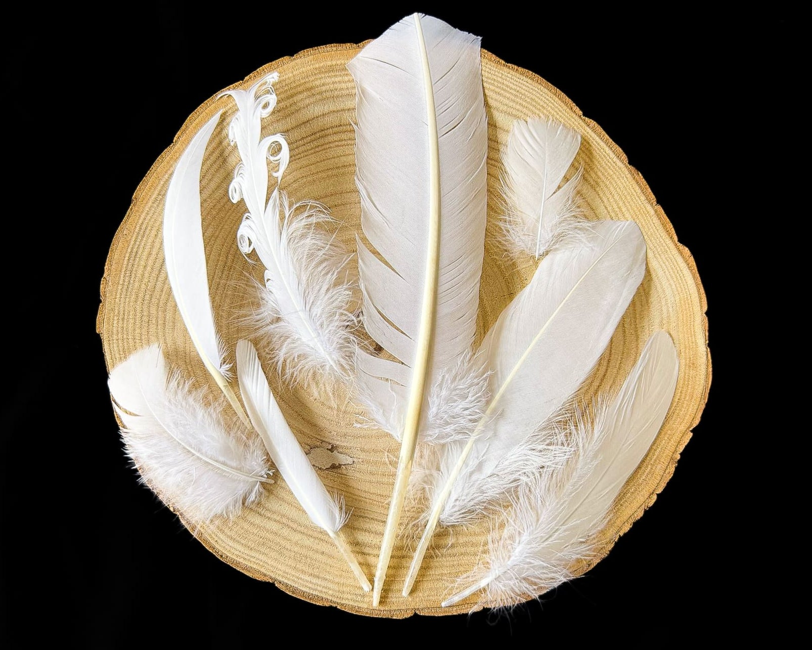 Badminton Plume Authentique Lot De 3 Balles De Badminton à Plumes Naturelles - Pour Jeu De Compétition Ou Loisir Volants Plumes Naturelles Compétition