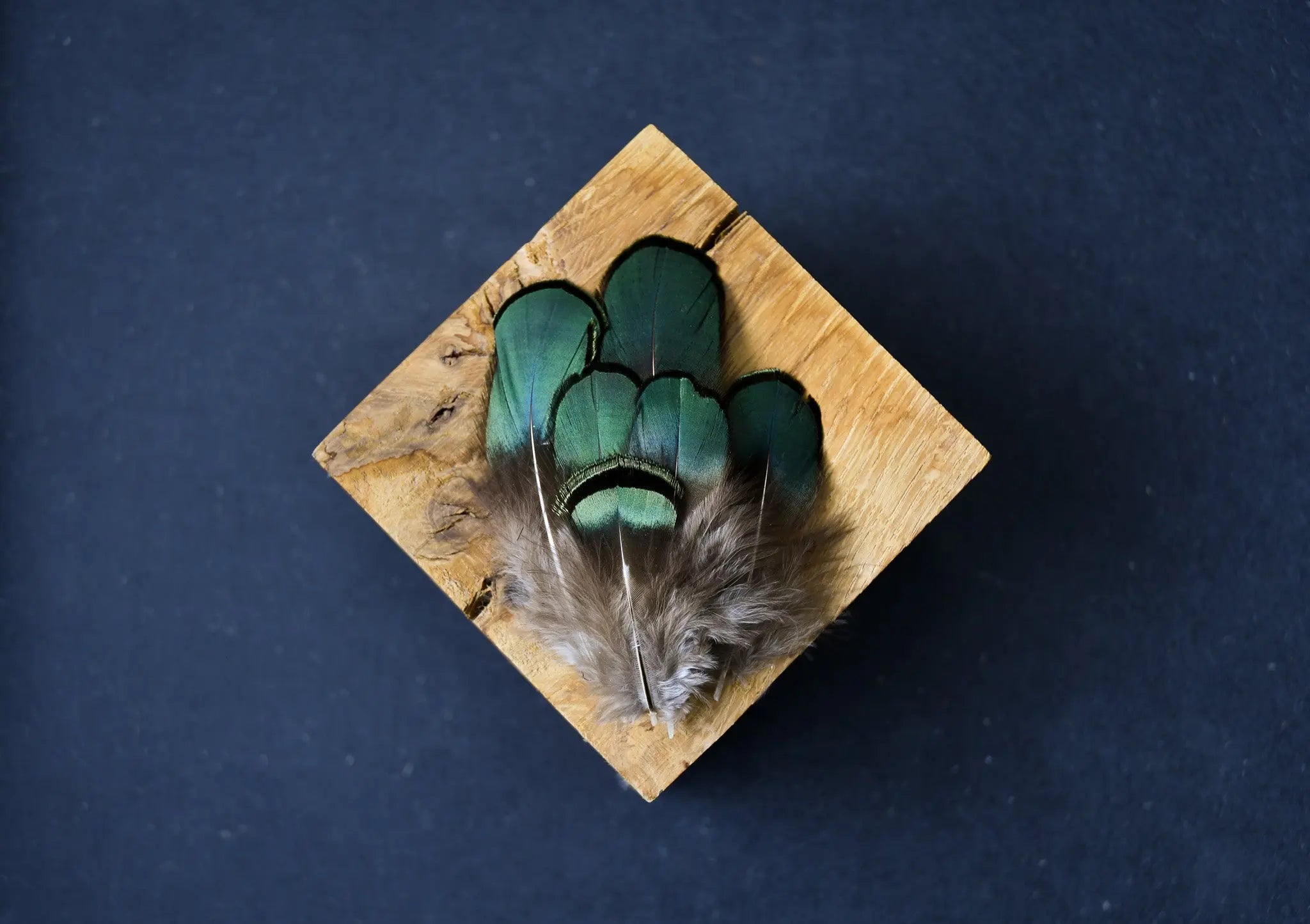 Plumes D'ailes De Faisan Pour Montage De Mouches De Pêche - Lot Veniard - Pour Truite Et Autres