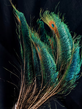 Plumes De Paon De Qualité, Belles Plumes De Paon Naturelles, Accessoires De Décoration Décoratifs Pour Bricolage De Bijoux