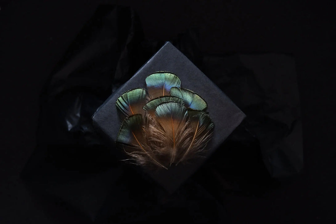 Plumes de faisans de Lady vert émeraude 5 à 7 centimètres Plumes Naturelles