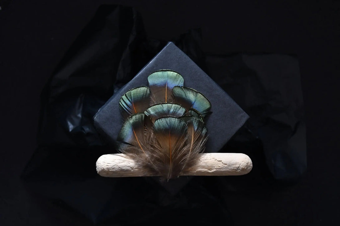 Plumes de faisans de Lady vert émeraude 5 à 7 centimètres Plumes Naturelles