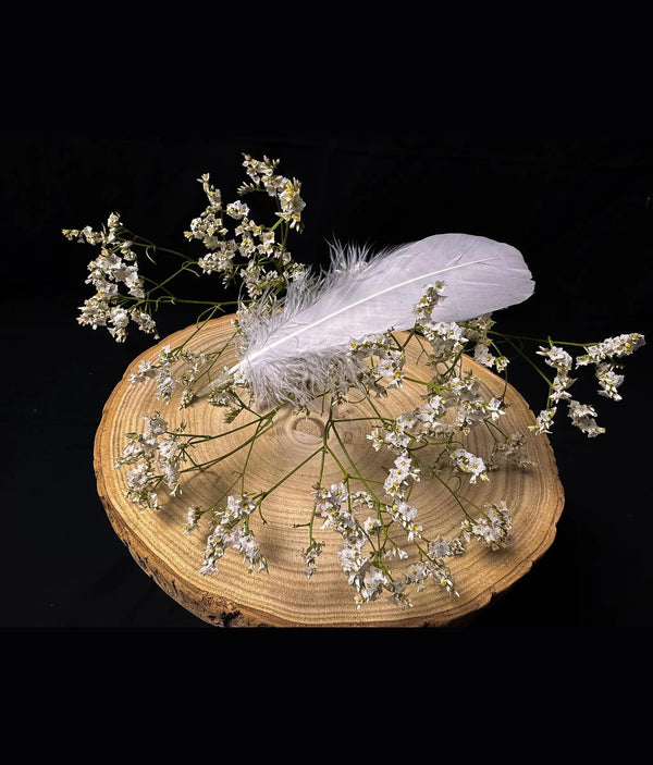 Plumes d'oie blanches 14-18 cm