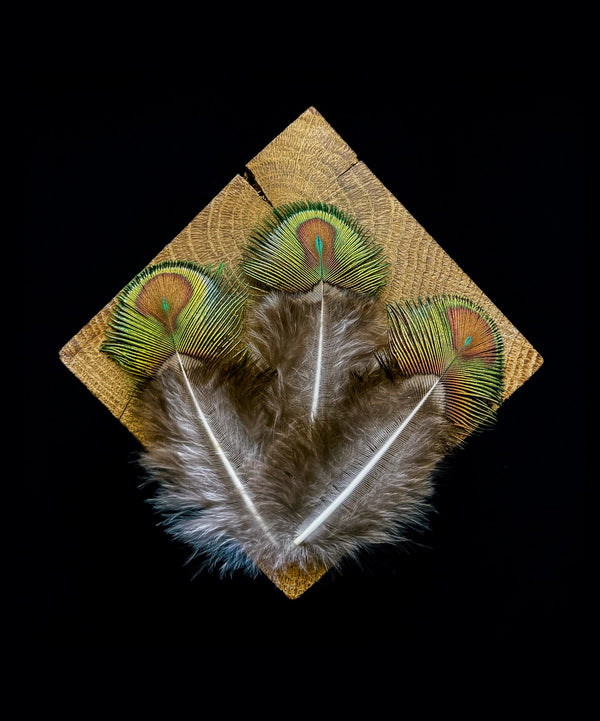 Petites plumes de paon vertes, cuivre 7 à 9 centimètres