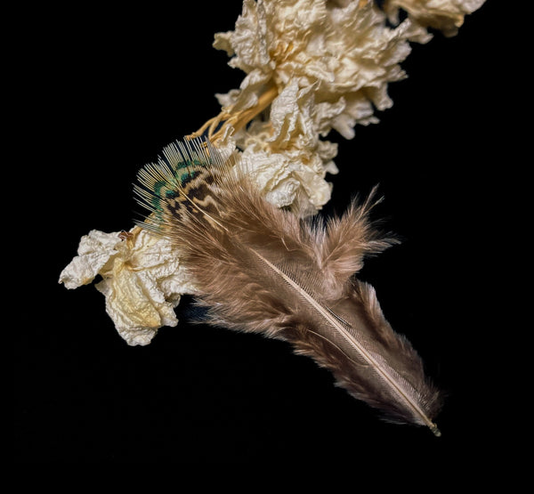 Plumes de faisan vert naturel "amande" 4-7 cm