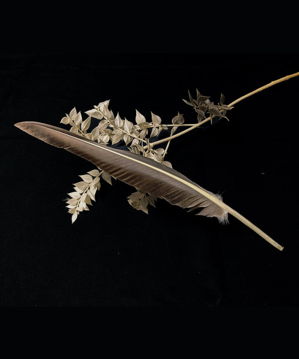 Grandes plumes d'oies grises 27-32 cm