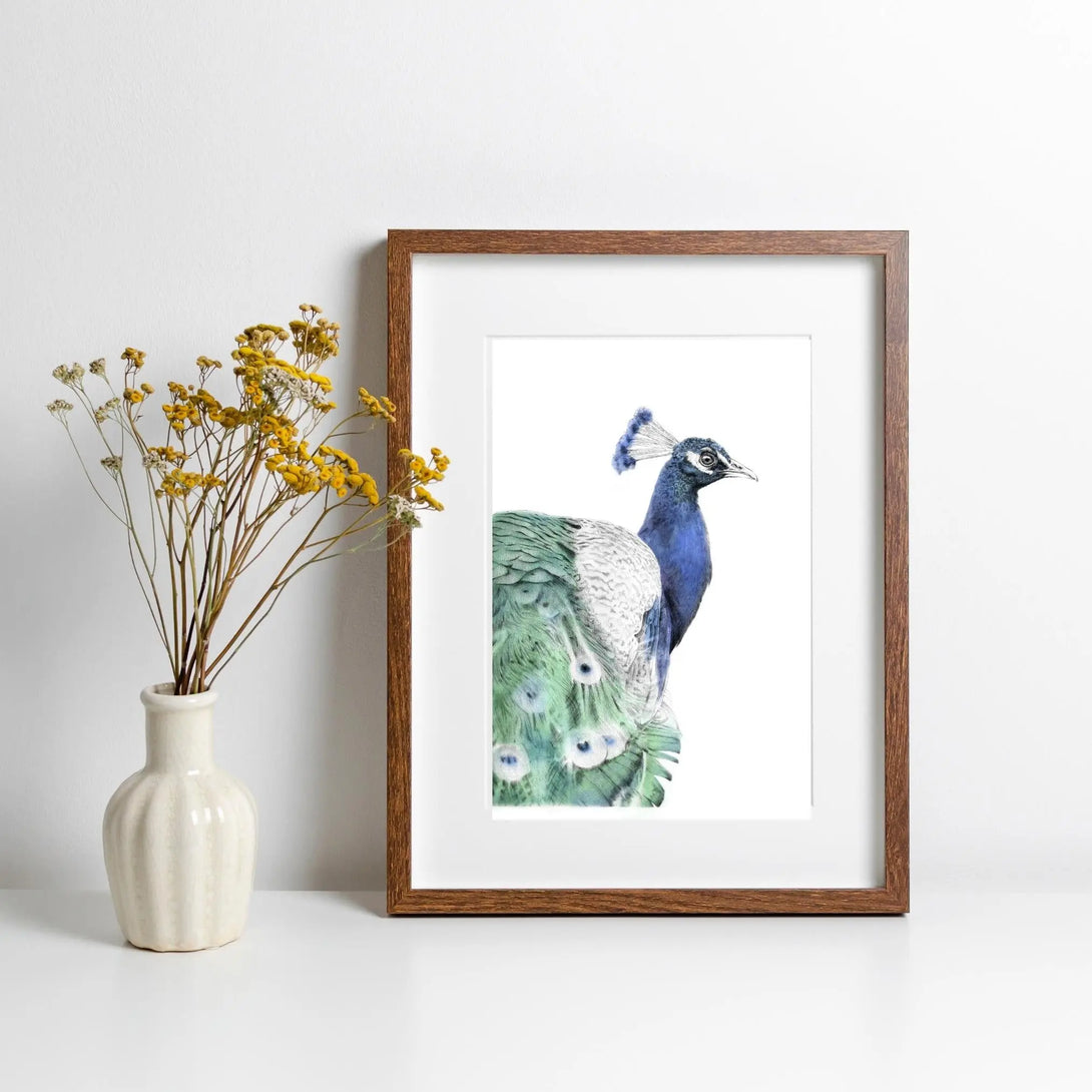 Paon bleu à imprimer Plumes Naturelles