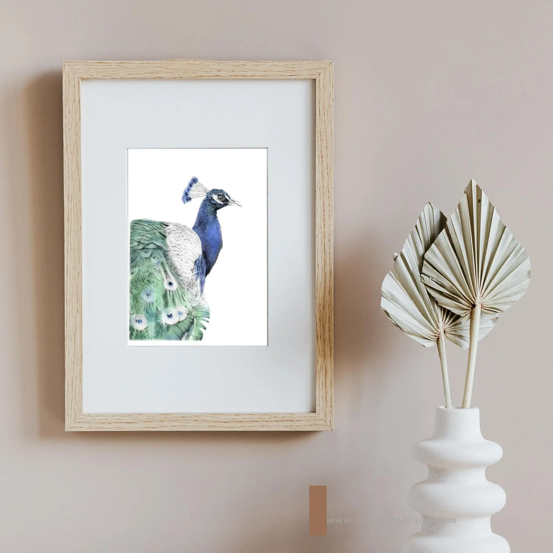 Paon bleu à imprimer Plumes Naturelles