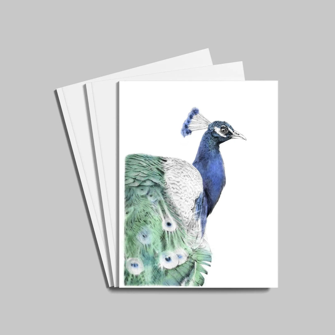 Paon bleu à imprimer Plumes Naturelles