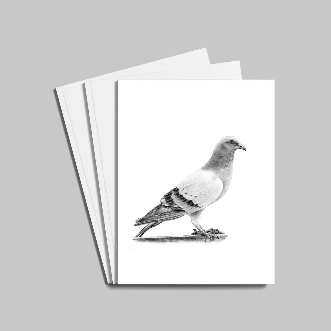 Pigeon des villes à imprimer Plumes Naturelles