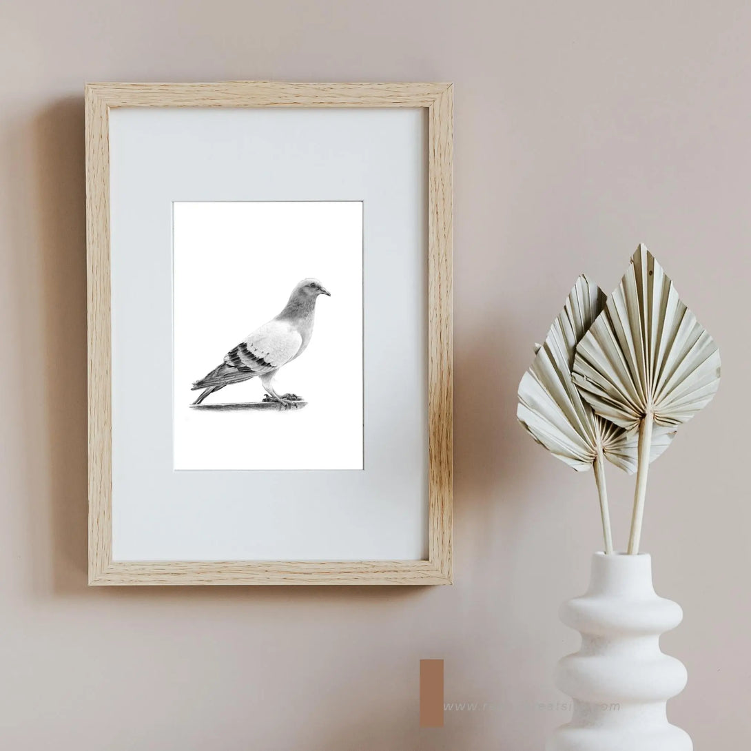 Pigeon des villes à imprimer Plumes Naturelles