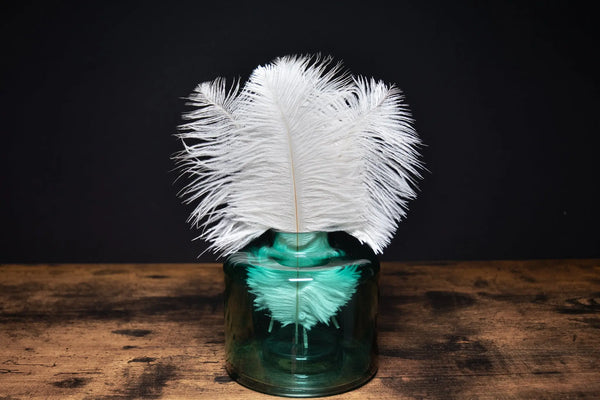 Plume Autruche | La boutique des plumes Plume Autruche | La boutique des plumes