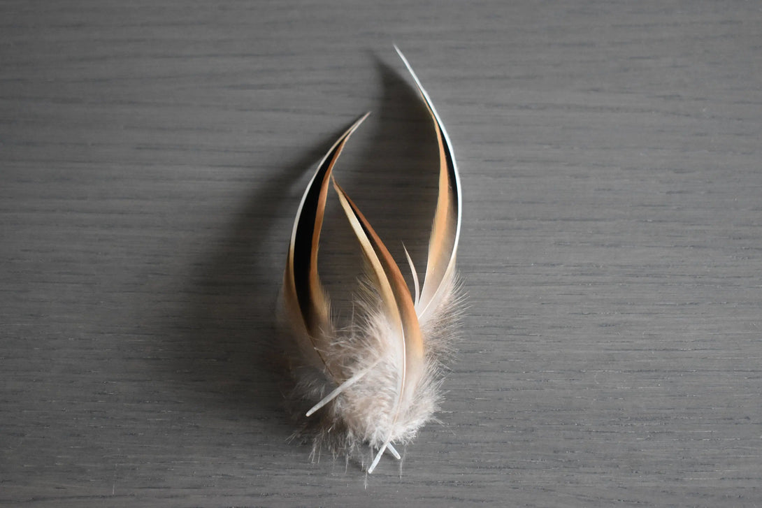 Plumes de canards Plumes Naturelles