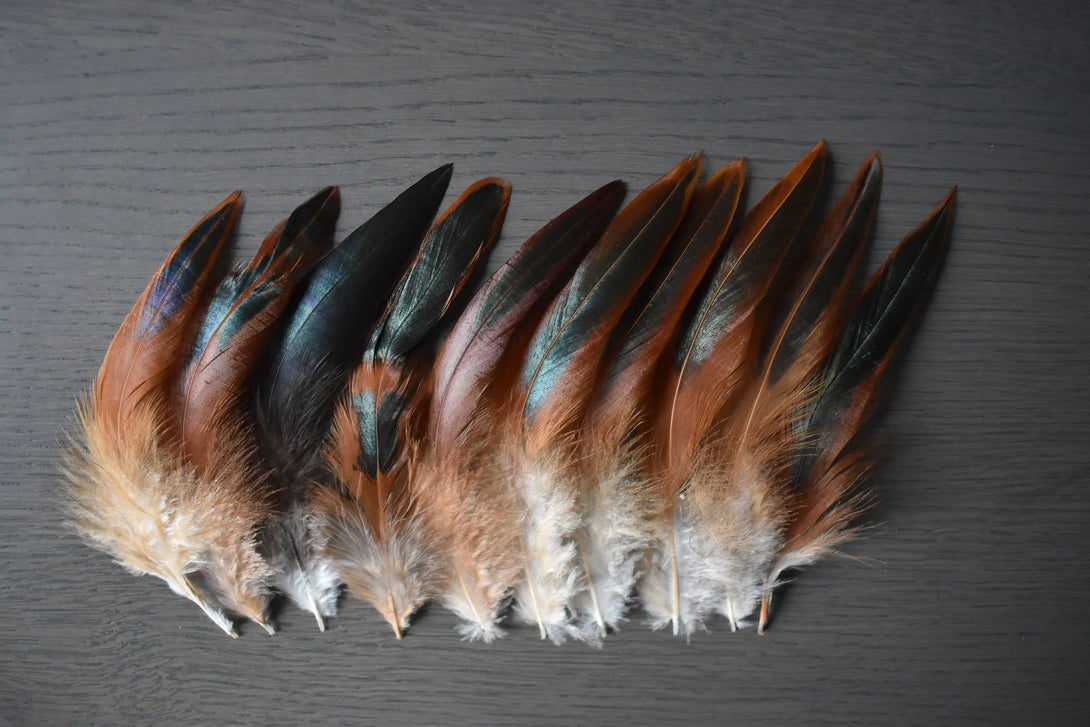 Plumes de coq Plumes Naturelles