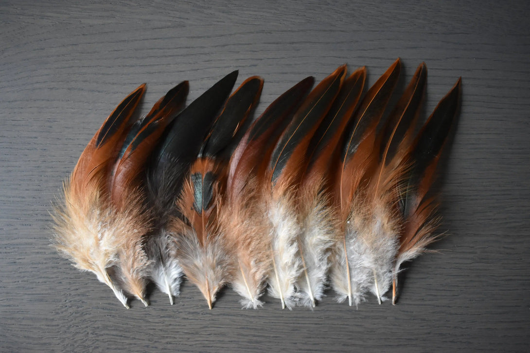 Plumes de coq Plumes Naturelles