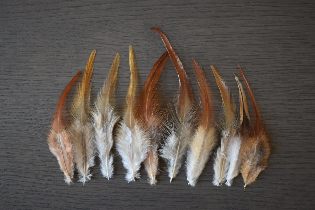 Plumes de coq Plumes Naturelles