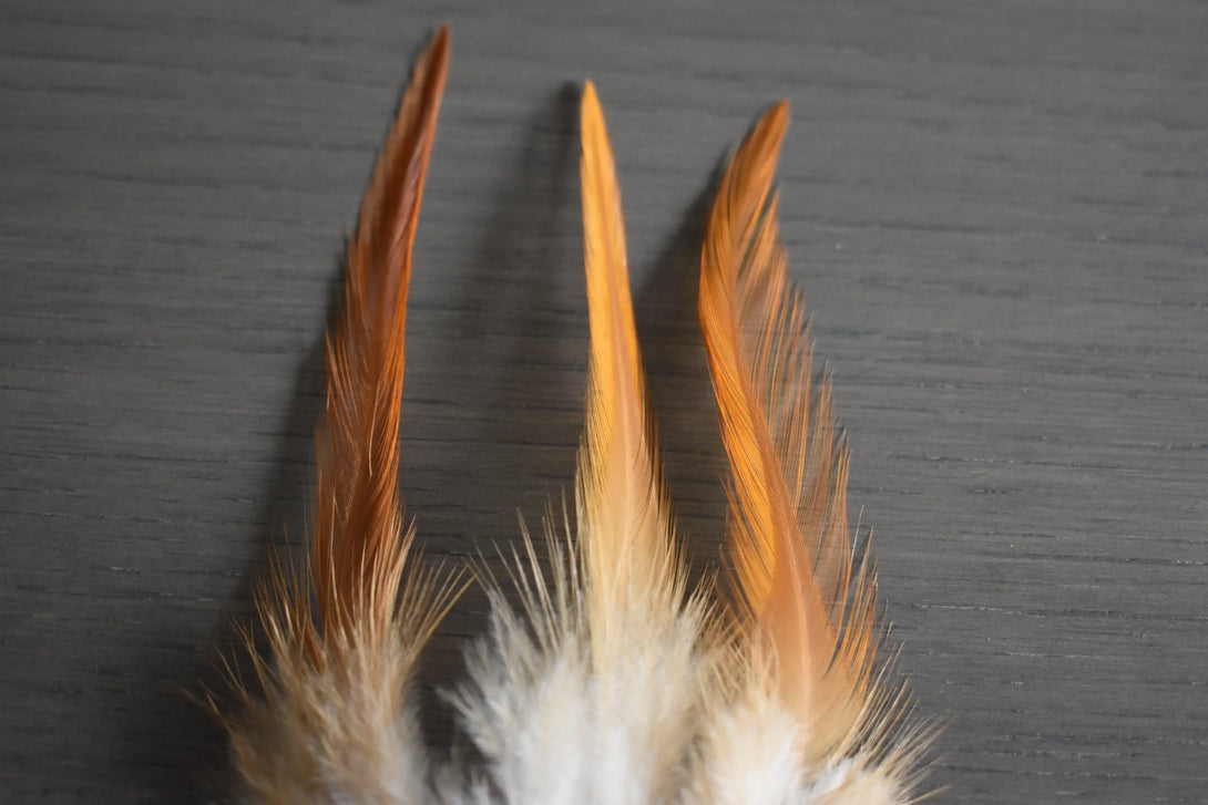 Plumes de coq Plumes Naturelles