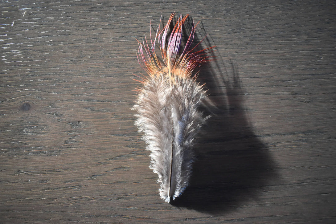 Plumes de faisan 5 centimètres Plumes Naturelles