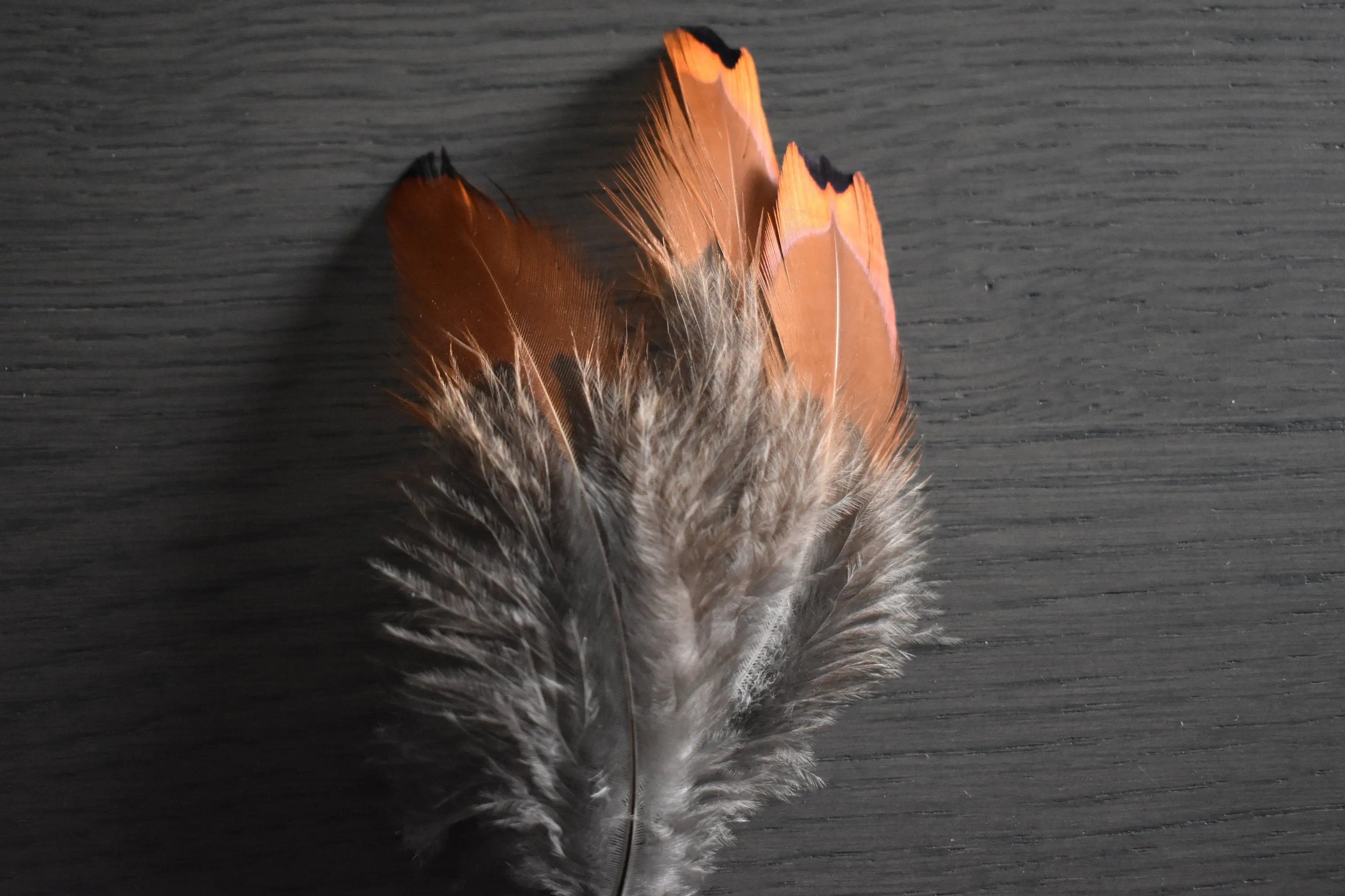 Lot De 50 Grandes Plumes De Faisan Naturelles - Mélange 5 Styles Pour Décoration Et Artisanat