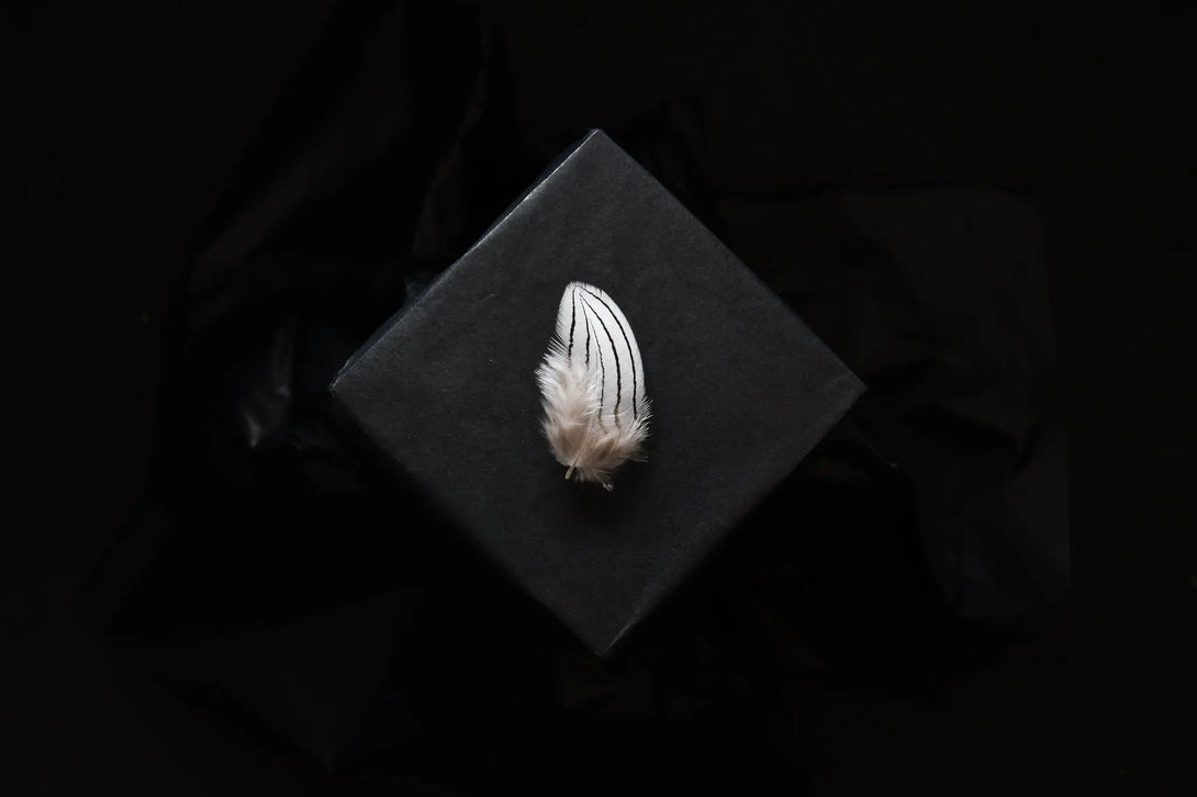 Plumes de faisan argenté Plumes Naturelles