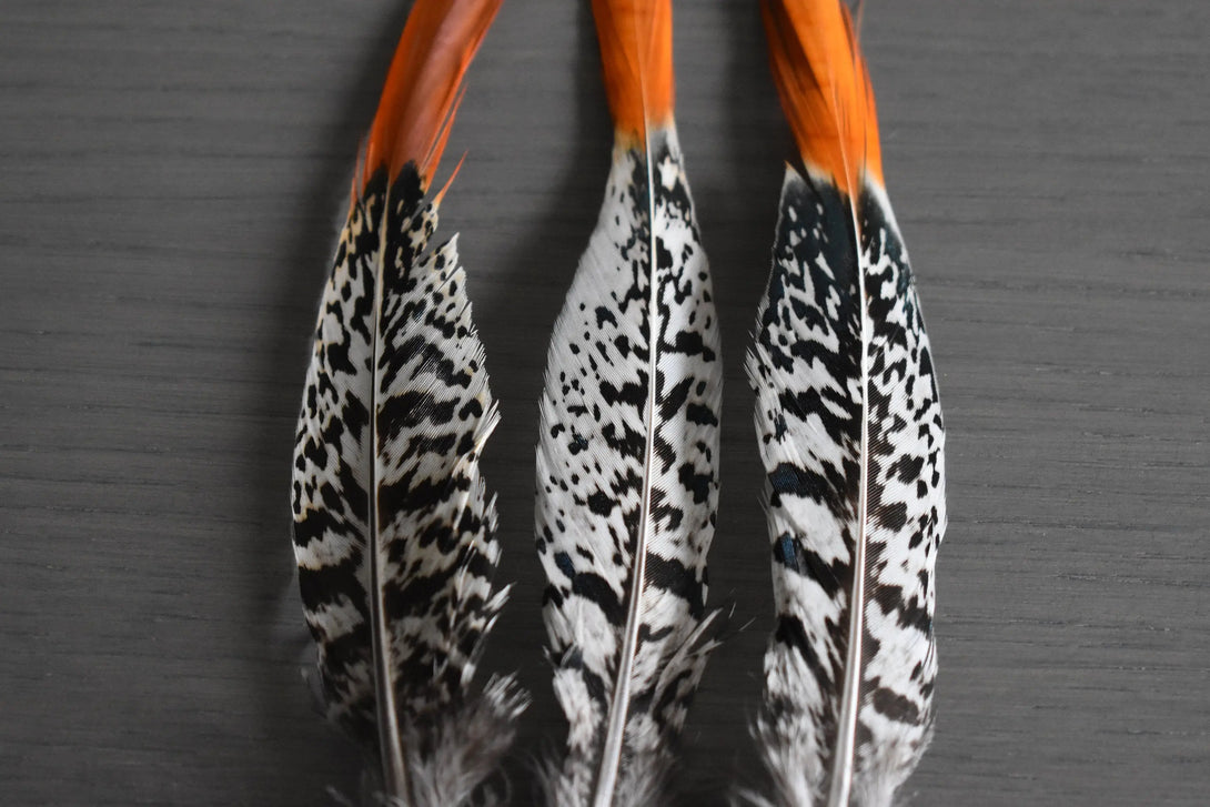 Plumes de faisan de Lady Amherst Plumes Naturelles