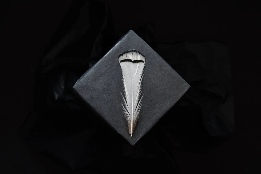 Plumes de faisan de Lady Amherst Plumes Naturelles