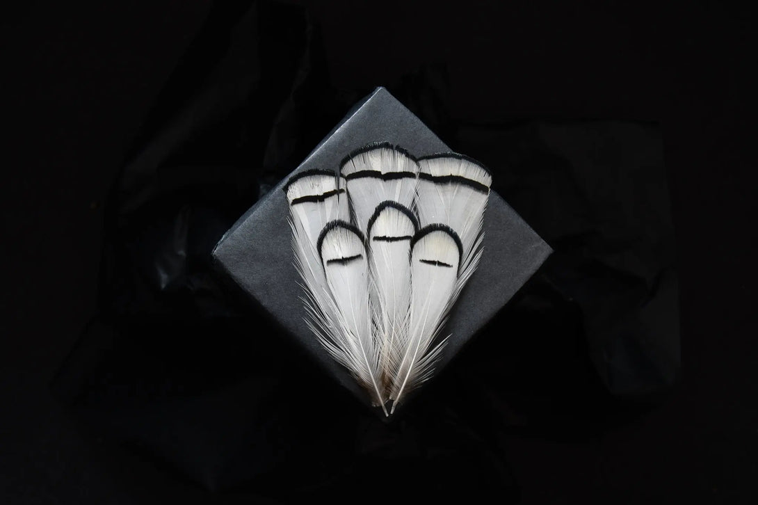 Plumes de faisan de Lady Amherst Plumes Naturelles