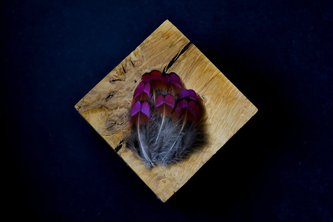 Plumes de faisan de colchide Plumes Naturelles