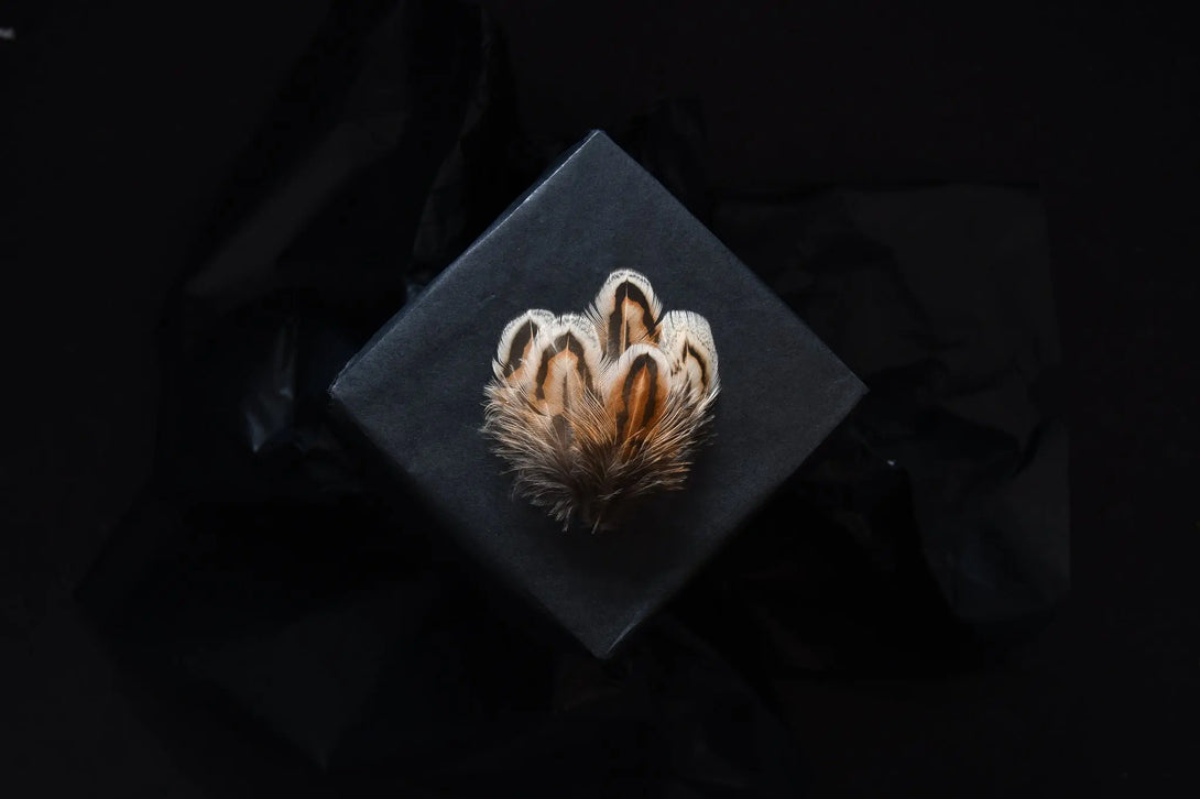 Plumes de faisan de colchide Plumes Naturelles