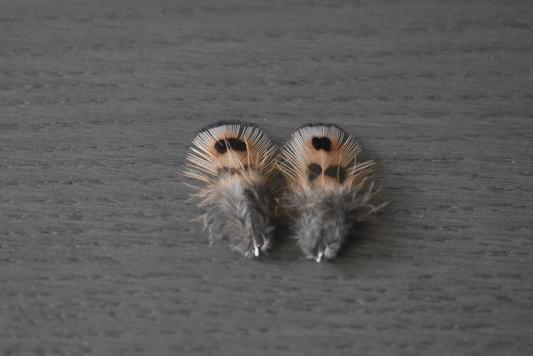 Plumes de faisan de colchide Plumes Naturelles