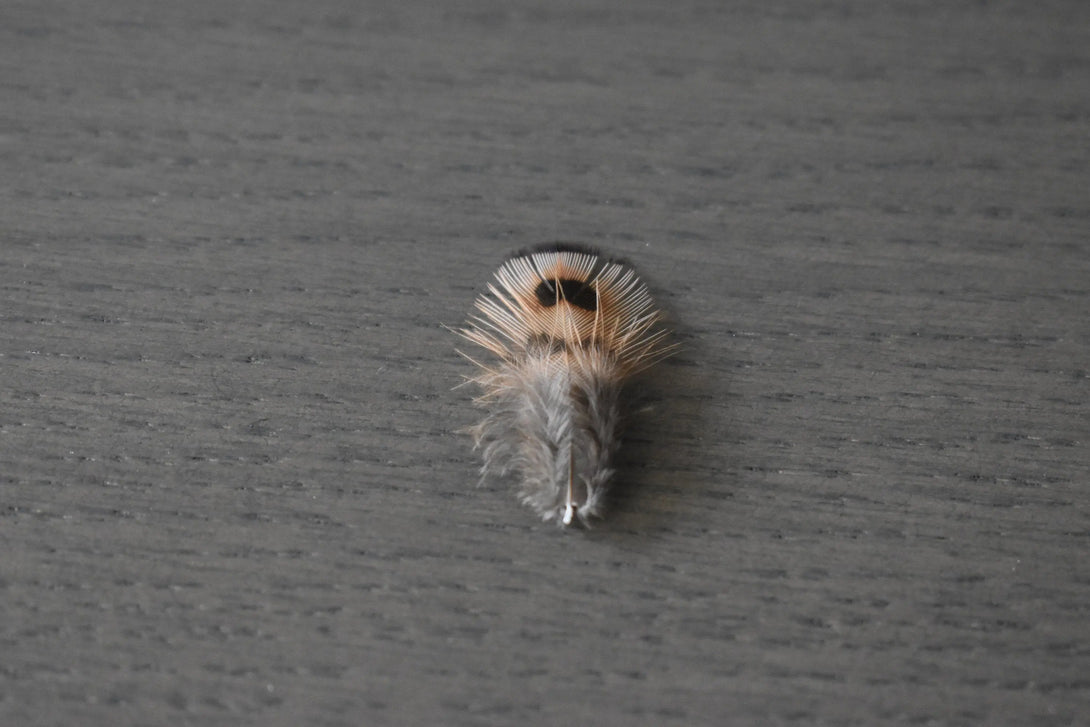 Plumes de faisan de colchide Plumes Naturelles