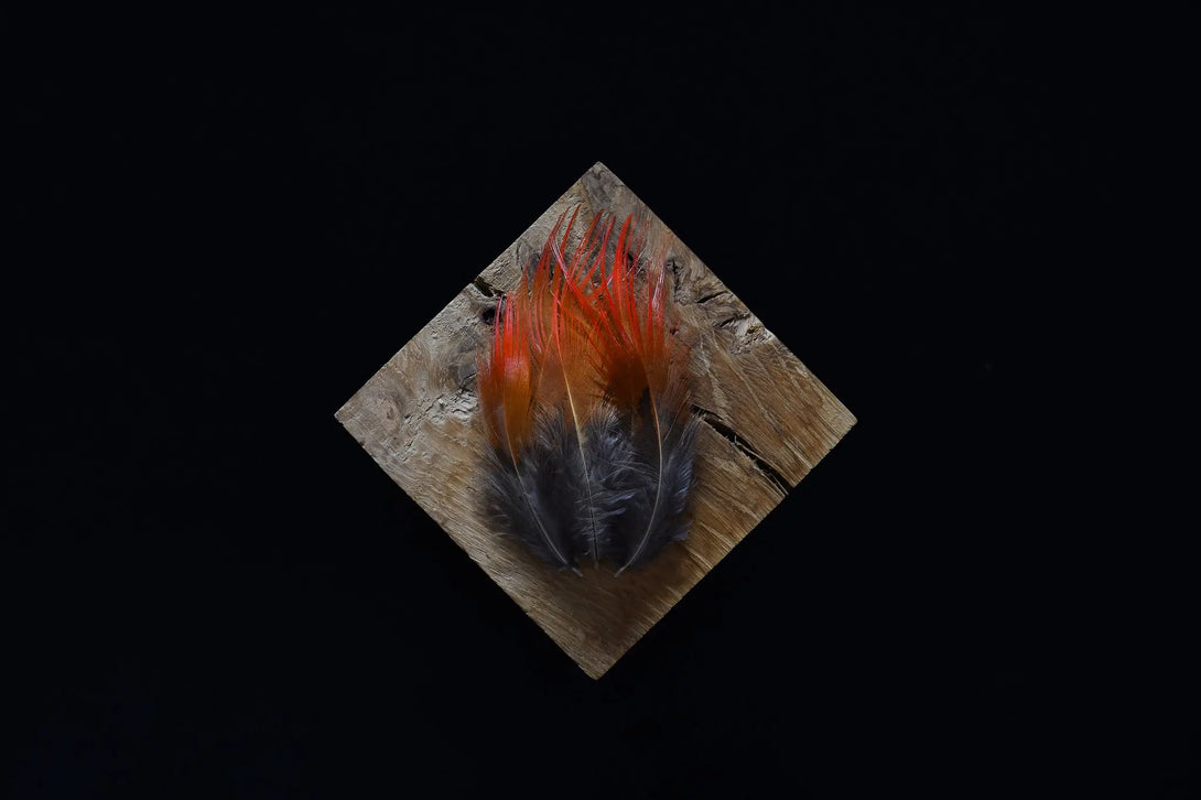 Plumes de faisan doré Plumes Naturelles