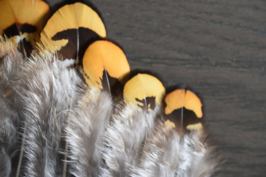 Plumes de faisan vénéré Plumes Naturelles