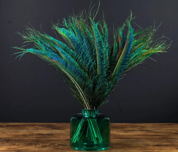 Déco Plume Carnaval Plumes De Faisan Naturelles - Lot De 20 | 25 Déco Plume Carnaval Plumes De Faisan Naturelles - Lot De 20 | 25