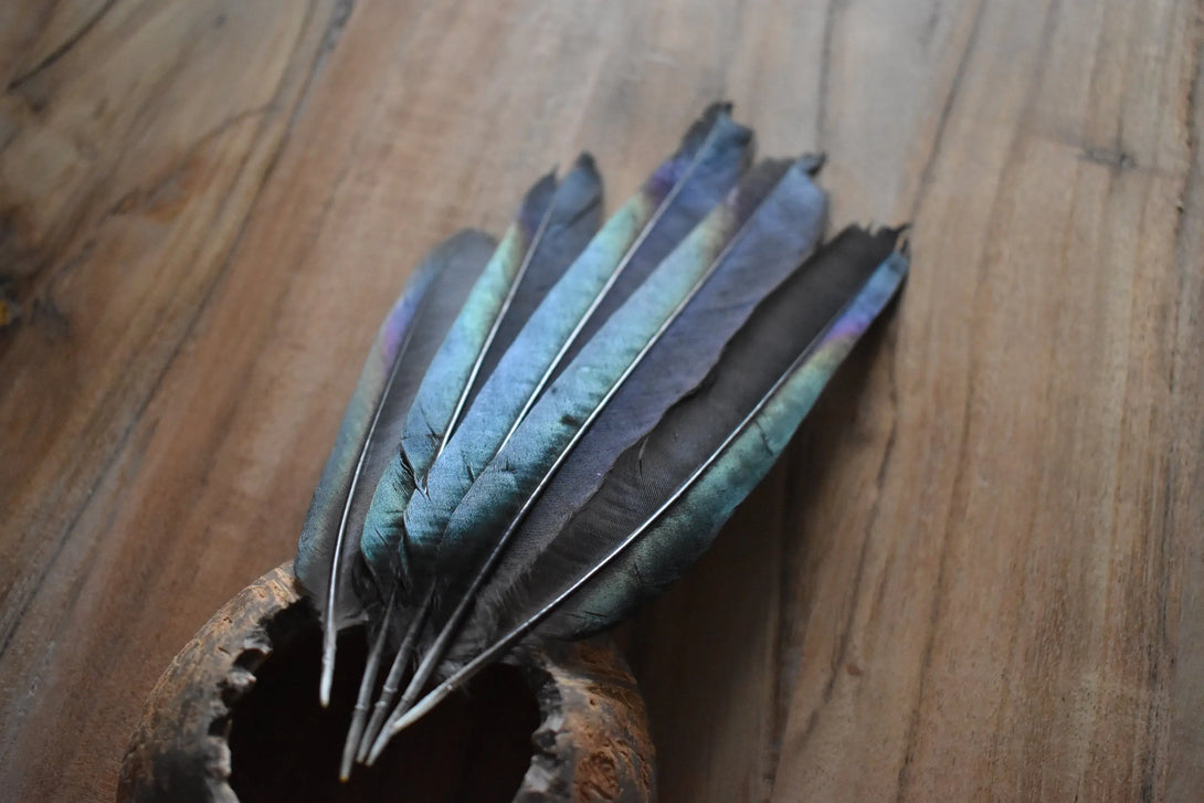 Plumes de pie Plumes Naturelles
