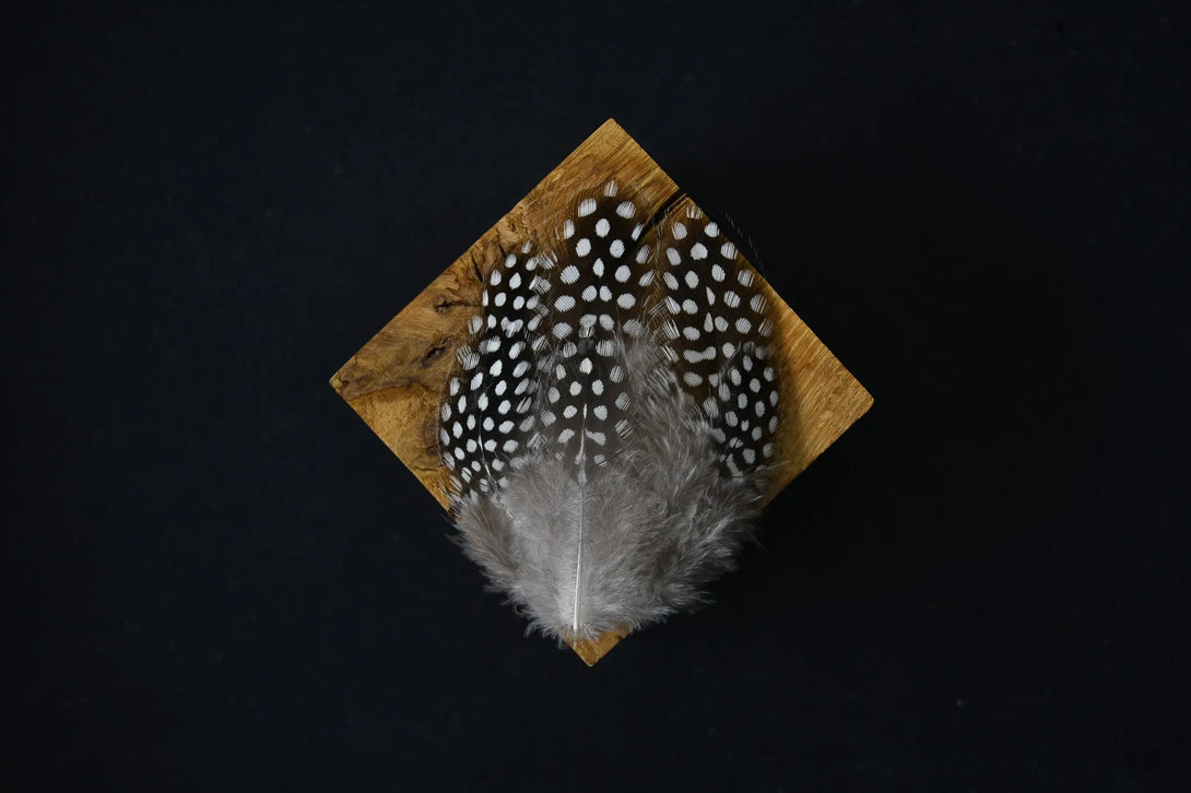 Plumes de pintade Plumes Naturelles